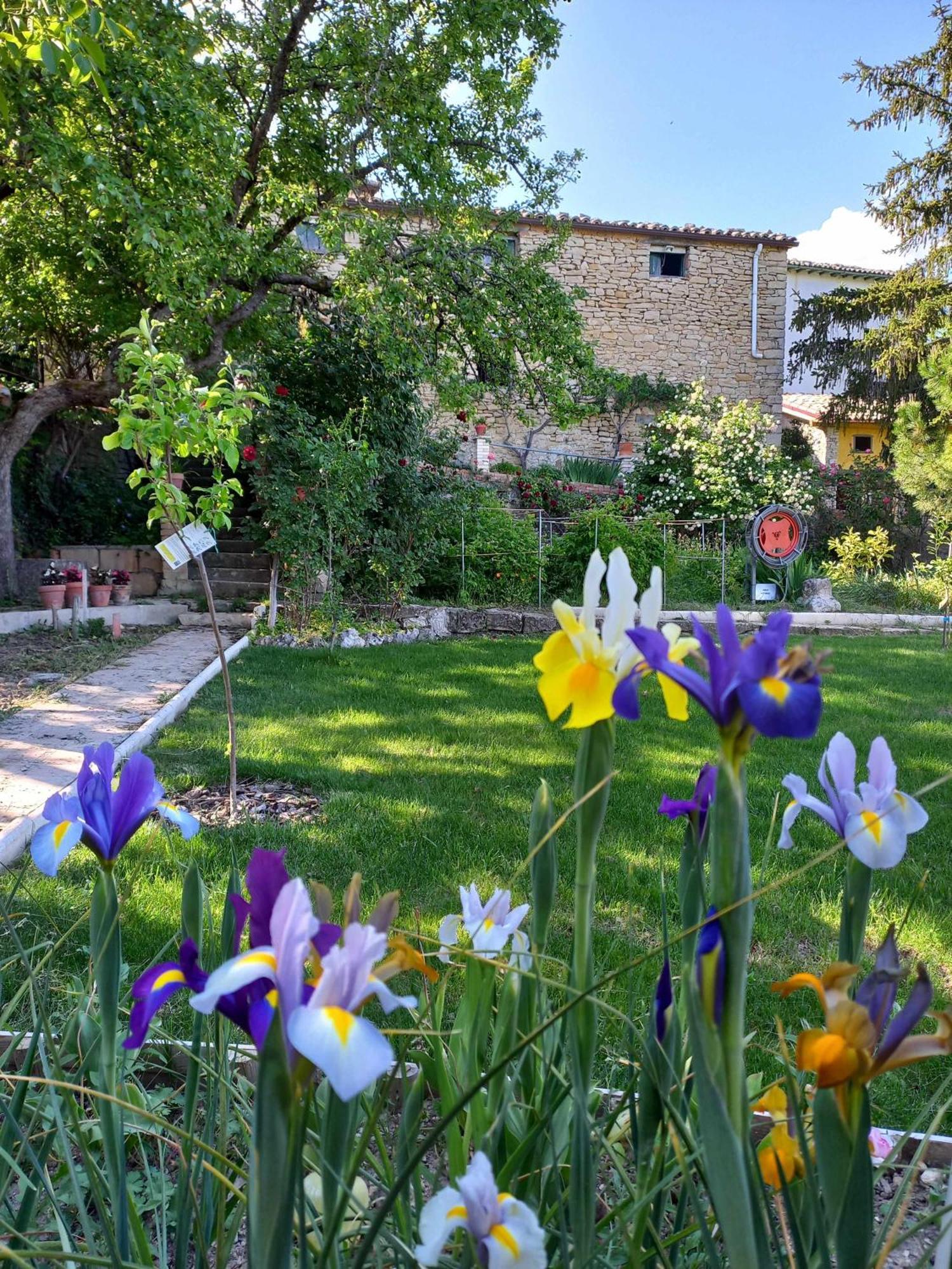 Casa Albaitar Con Piscina Y Sala De Juegos Azcona Exterior foto